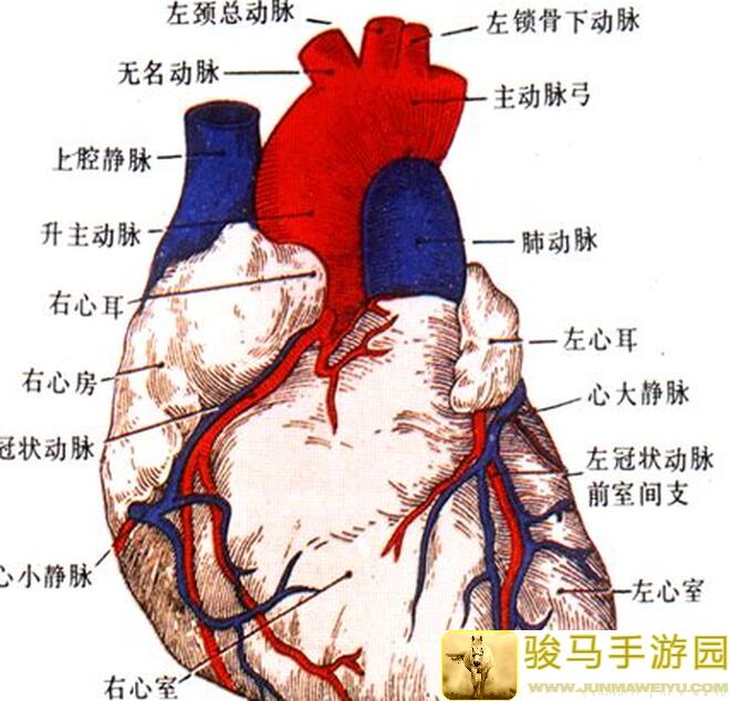 心脏狂跳的烹饪赚钱秘籍！看完秒变小镇富豪