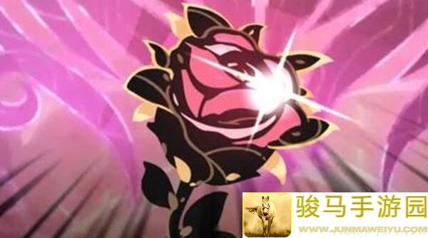 超进化物语2超二攻略：强压黑升级秘籍大公开！