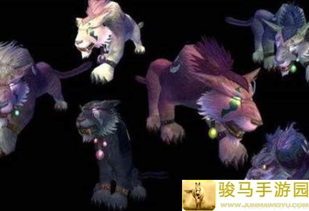 不休乌拉拉斗德法猎霞光全攻略：解锁新思路，轻松通关无难度！
