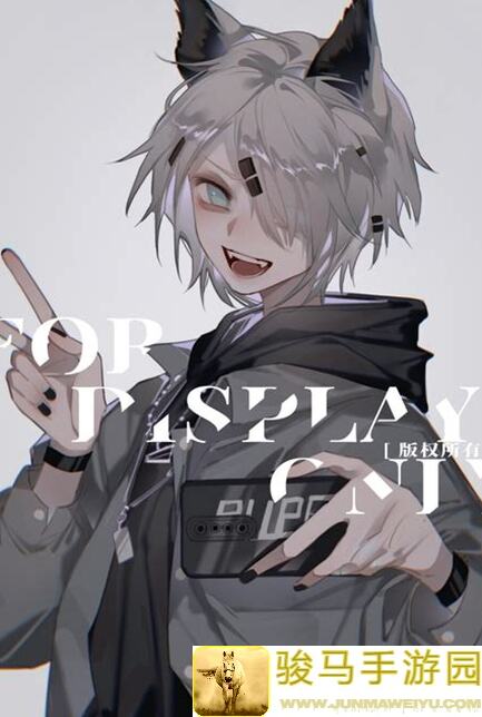 明日方舟SN10拉普兰德单核超超低配攻略