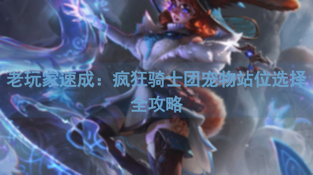 老玩家速成：疯狂骑士团宠物站位选择全攻略