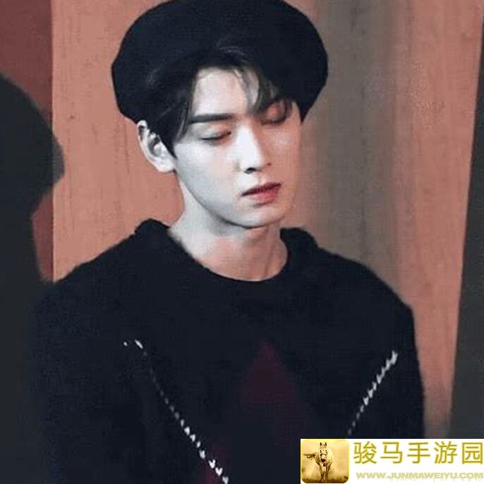 超级精灵手表：精灵图鉴与迅捷岩狮的秘密
