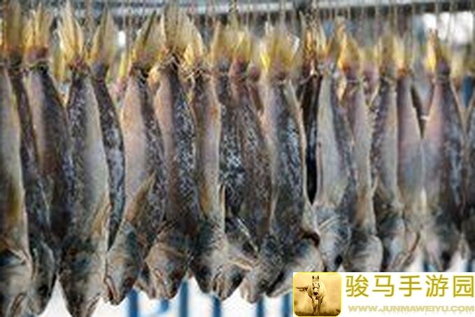 咸鱼之王新手老玩家必看攻略！快速提升战力、通关秘籍全汇总