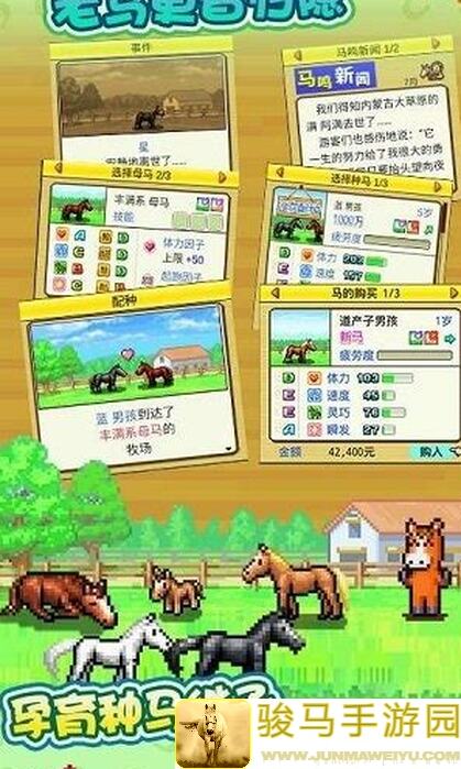 🐑赛马牧场物语开罗赛攻略：0氪党也能轻松上手！