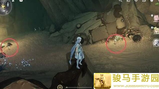 鸣潮速刷攻略！龙吐珠角色突破材料轻松收集路线大揭秘！
