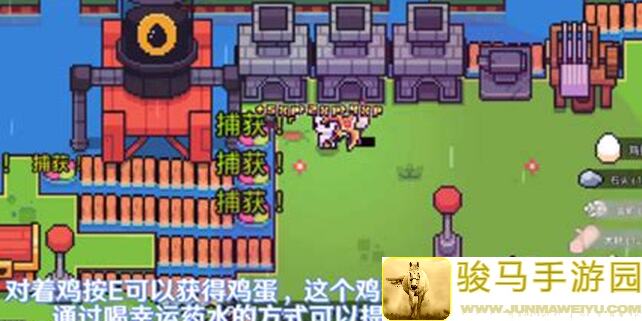 浮岛冒险灯塔神教攻略！3招教你轻松解锁全攻略，秒变灯塔高手！