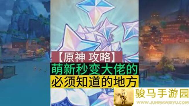 游戏王：决斗链接龙族白金组合全攻略！萌新秒变决斗王技巧大揭秘