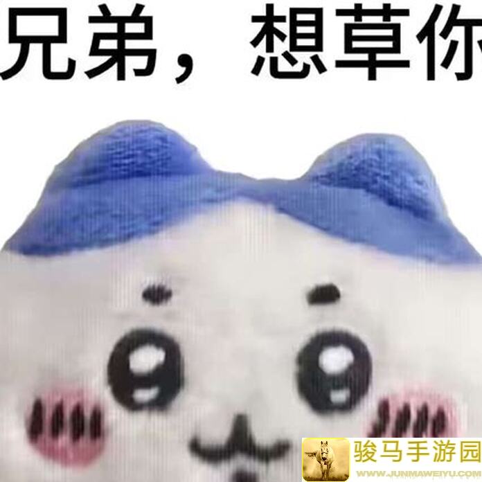 我的勇者樱花道馆忍者攻略合集：看完这篇让你秒变大神！