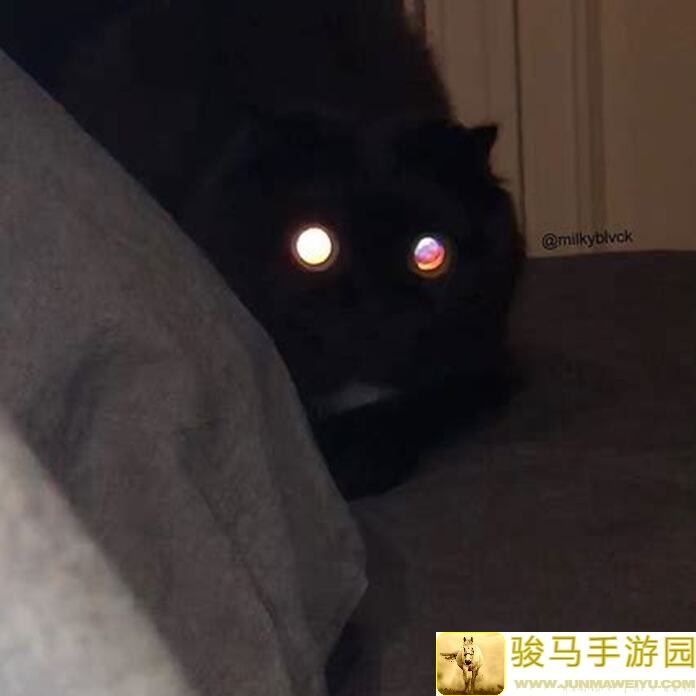 异世界勇者6.2.0射击猎人攻略，10分钟轻松通关，2w1+评分不换装，玩家必备简易教程！