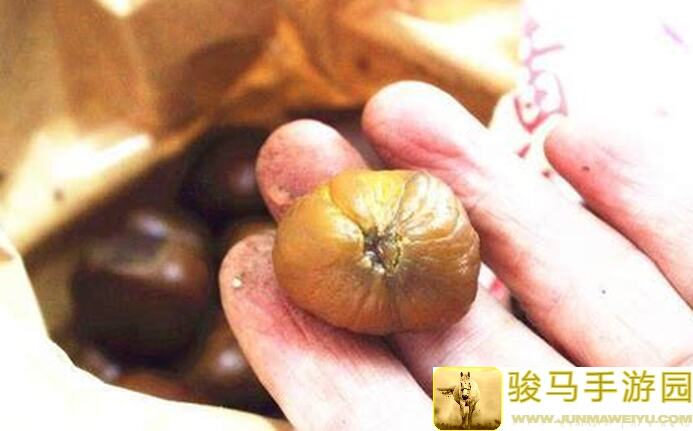 华夏人生栗子防挖攻略：教你一招，让栗子秒变金钟罩