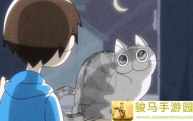 猫咪乐园：成为猫屋孵猫保姆的顶级教学指南