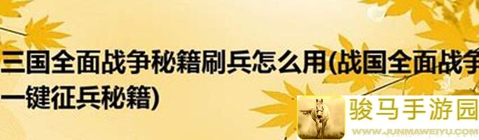 三国战纪攻略分享：揭露兵法系统误区，助你秒杀全场