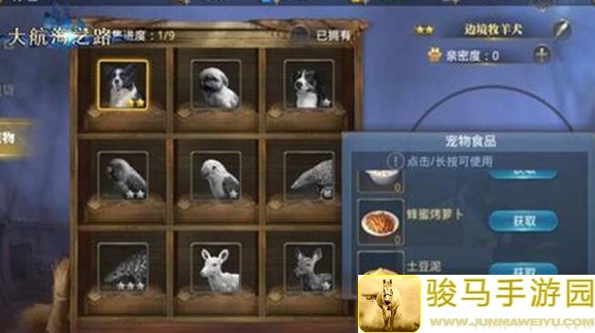 名将之路宠物盘点大揭秘！全面评测让选择更明智