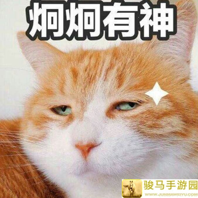 秘籍解锁！2024年8月活下去攻略：天赋选择与开局神助攻！