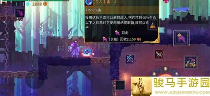 重生细胞密钥攻略，轻松通关不再是梦！