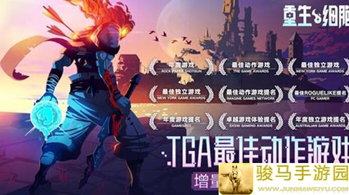 重生细胞绿色重弩流战力提升的秘密:解锁绿色重弩流配置全攻略!究竟如何秒变战神?