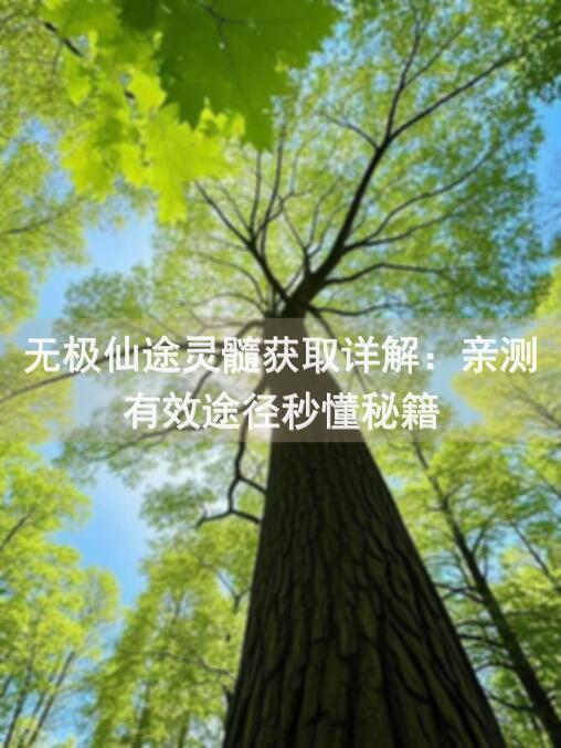 无极仙途灵髓获取详解：亲测有效途径秒懂秘籍