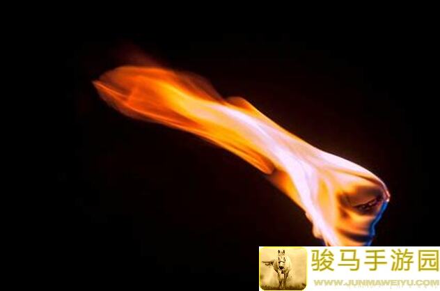 火种协定一测老登英雄评价大揭秘！
