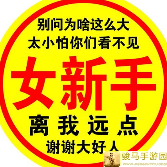 新手零氪开荒攻略：三国志幻想大陆第十天秘籍揭秘！