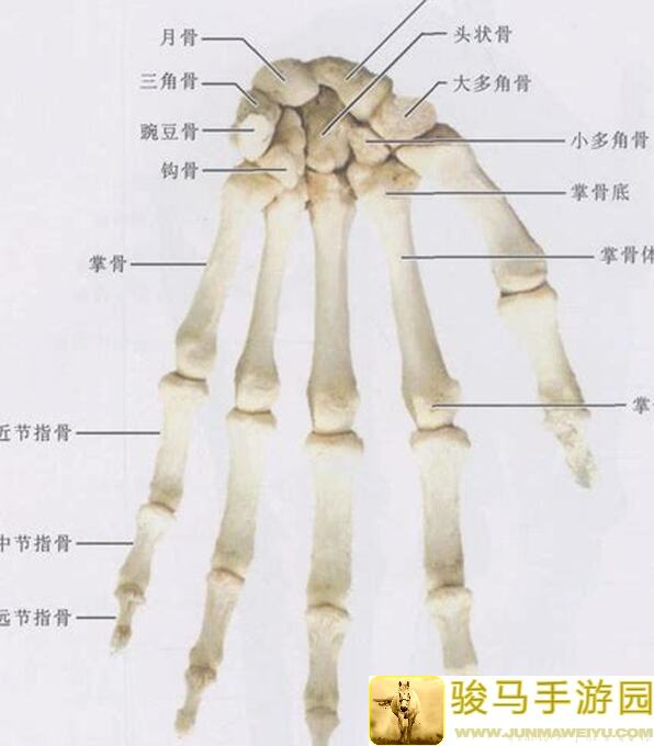 手残党究竟如何在魔渊之刃新赛季里养老路线？全攻略来帮你解析！🚀...