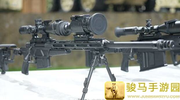 枪火重生组队桃攻略：教你快速升级，轻松通关！